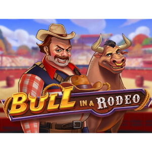 Bull in a rodeo (1)